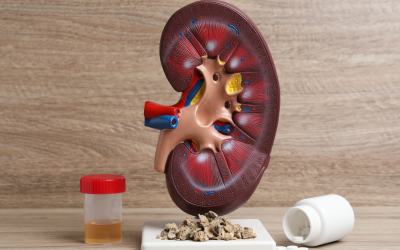 Medical Nutrition Therapy in Chronic Kidney Disease and End Stage Renal Disease CME