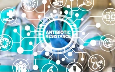 Molecular Diagnostic to Combat Antimicrobial Resistance CME
