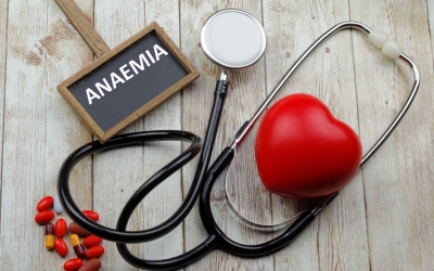 Diagnostic Approach to Anaemia CME