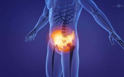 Pelvic Girdle CME Series CME