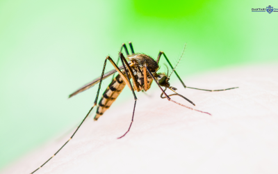 Laboratory Diagnosis of Malaria CME Series CME